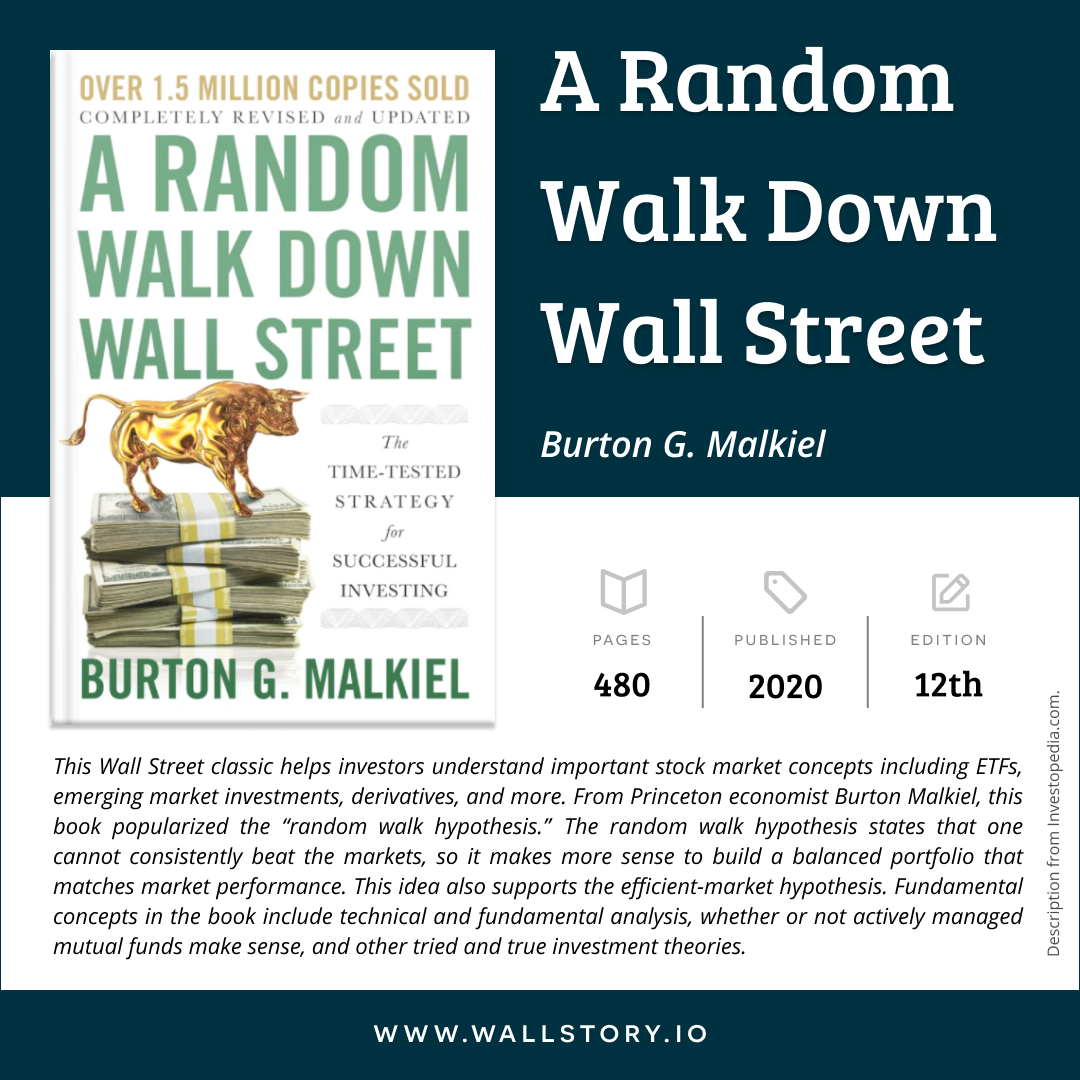 Random Walk Down Wall Street, A